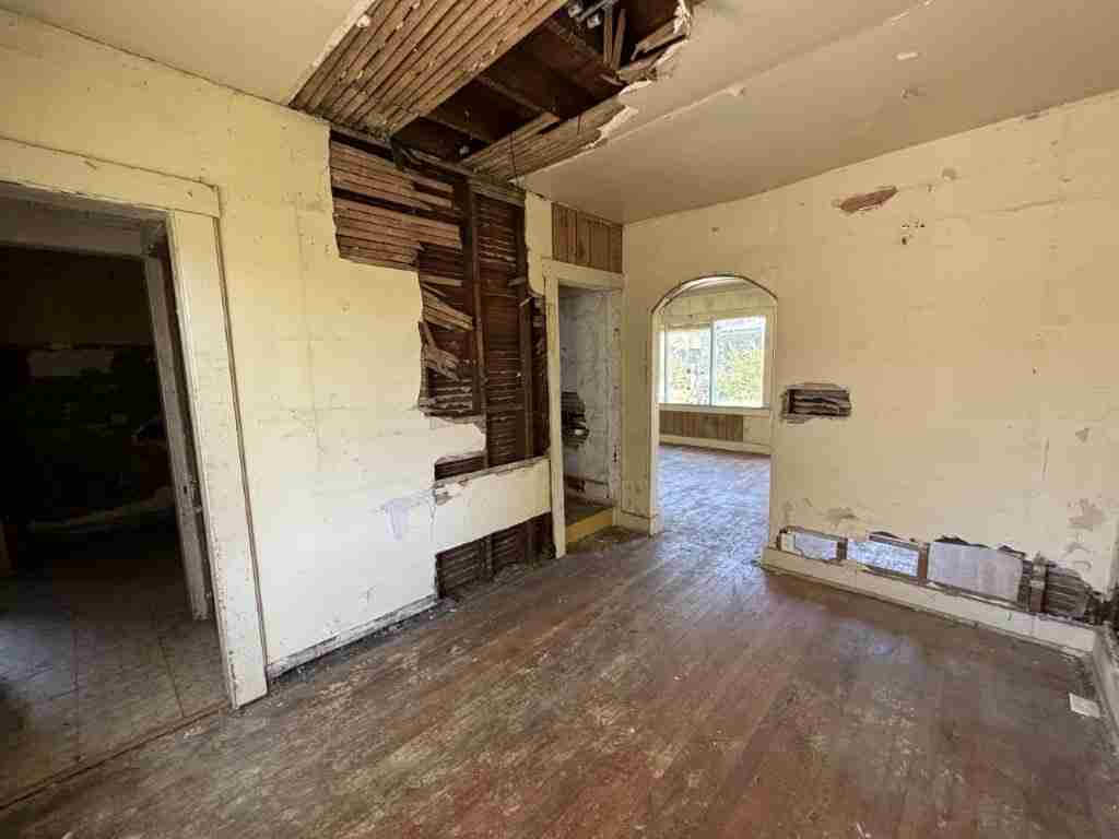 20241017_162706288_iOS (2).jpg